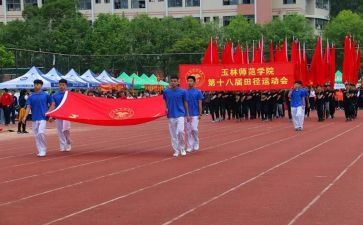 奥运会2024小学生作文7篇