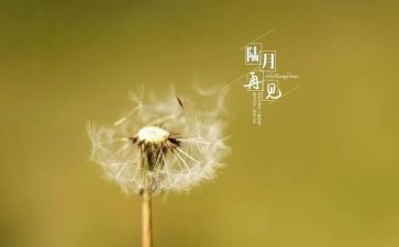 再见同学作文5篇