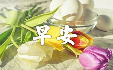 早读后感作文500字精选5篇