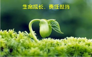 于与责任演讲稿优质7篇