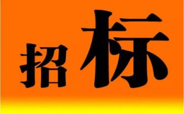 招标采购工作总结6篇