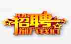 招聘简历模板5篇