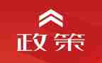 双减政策下的教育心得6篇