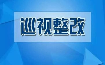 关于报整改报告通用5篇