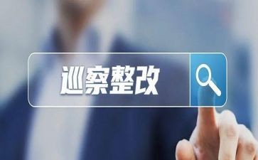 2024个人整改承诺书5篇