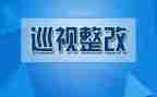 关于报整改报告通用5篇