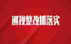 督导检查整改报告6篇