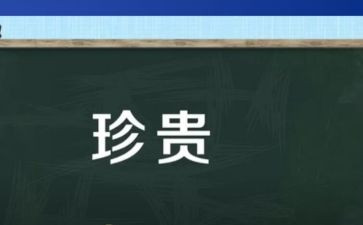 亲情很珍贵作文7篇
