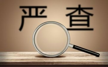 问题整治工作总结5篇