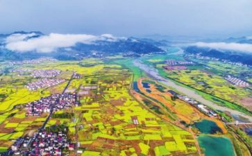 2023乡村振兴的演讲稿7篇