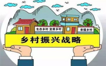 同乡村振兴培训心得体会6篇