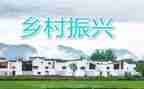 振兴乡村培训心得8篇