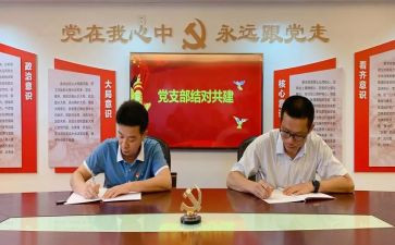 学校党支部年度总结8篇