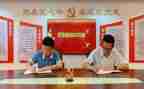 学校党支部年度总结8篇