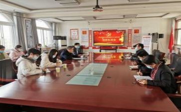 个人党支部工作总结精选7篇
