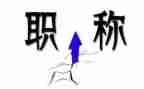 教师职称个人述职报告模板6篇