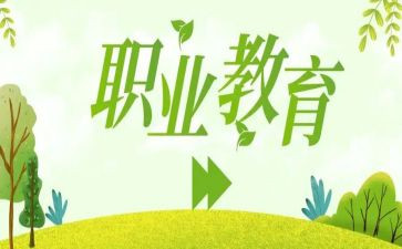 评高职教师个人总结6篇