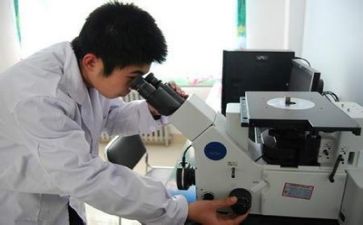 质量部的工作计划6篇