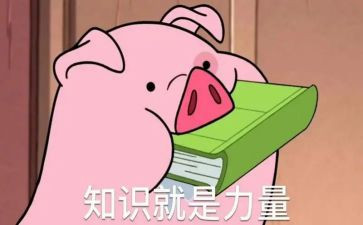 团知识的演讲稿优质6篇