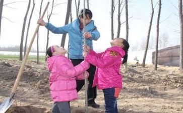 植树节环保主题演讲稿7篇