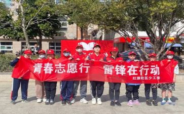 大学生志愿团个人总结7篇