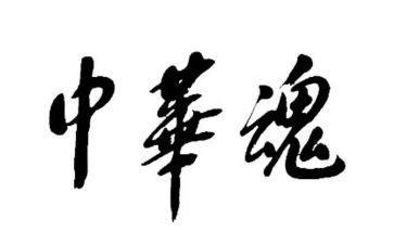 中华魂的演讲稿1000字5篇