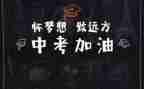 中考总结作文8篇