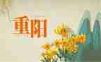 写难忘的重阳节作文5篇