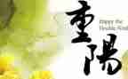 重阳节作文400字5篇