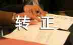 实习生转正申请的范文5篇