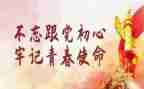 青年节主题团日活动总结5篇