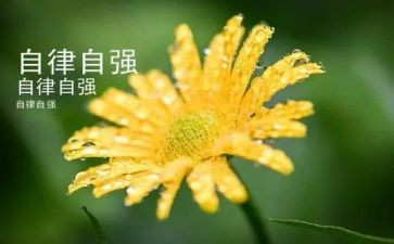 大学生当自强不息演讲稿5篇