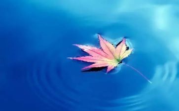 关于人与自然的作文推荐6篇
