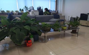综合部工作总结及计划7篇