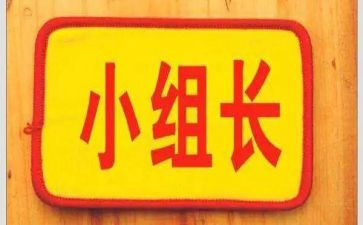 组长工作总结及工作计划7篇
