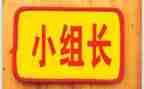 选组长演讲稿8篇