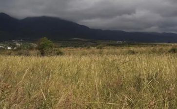旧房屋租赁合同模板最新8篇